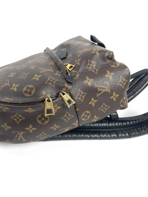 Louis Vuitton Monogram Palm Springs PM Backpack side