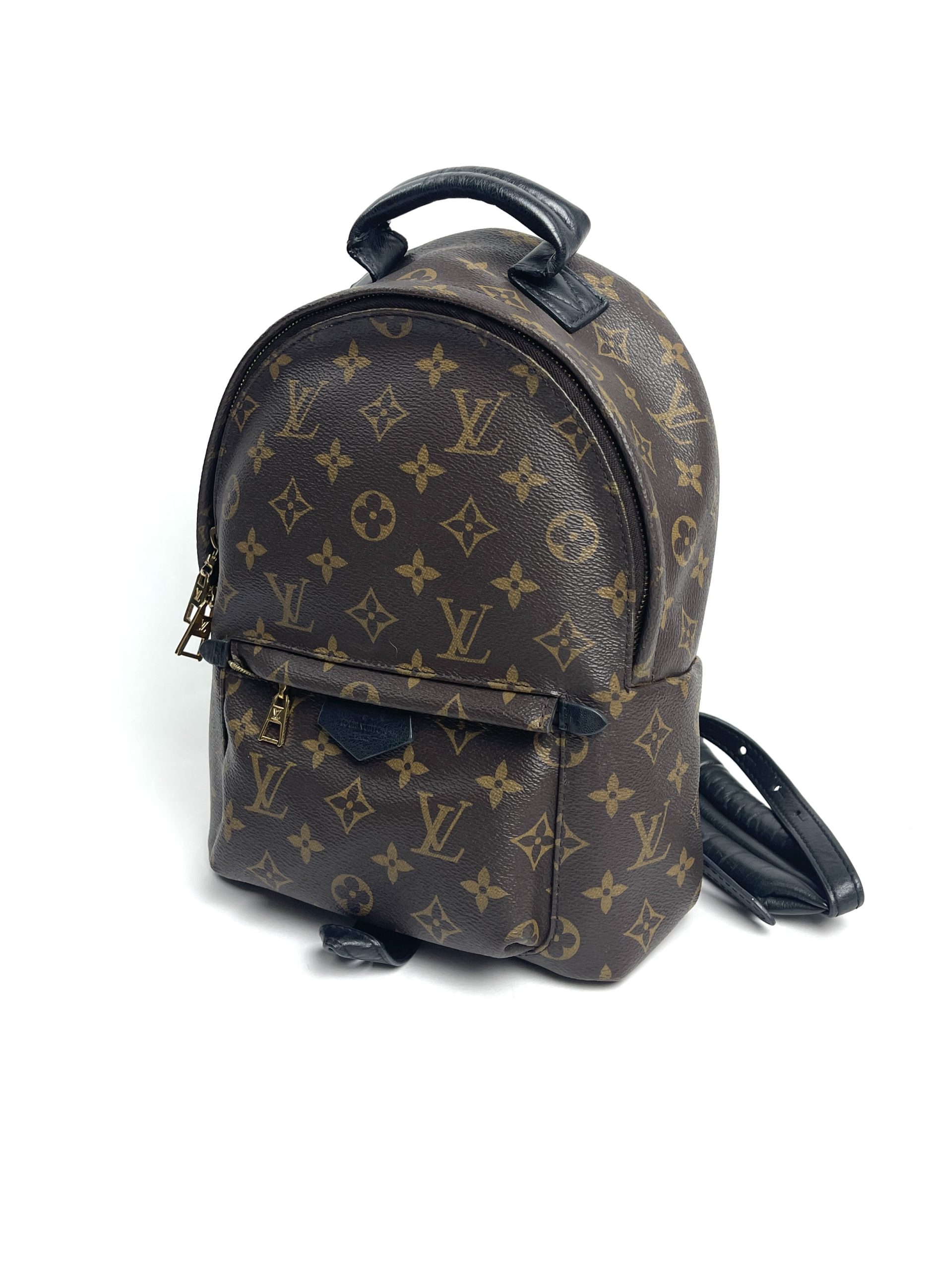 LOUIS VUITTON Palm Springs PM Monogram Black Leather Backpack  eBay