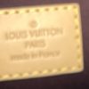 Louis Vuitton Monogram Favorite MM 17