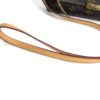 Louis Vuitton Monogram Favorite MM 12