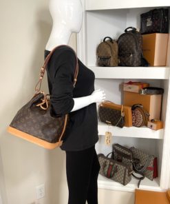 Louis Vuitton Monogram Petit Noe Bucket Bag w mannequin