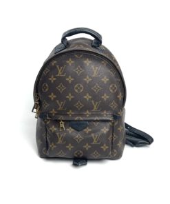 Louis Vuitton Monogram Palm Springs PM Backpack front