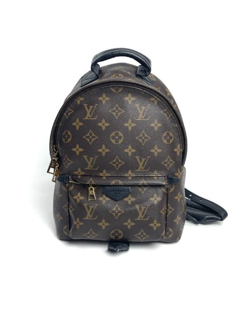 Louis Vuitton Monogram Palm Springs PM Backpack front