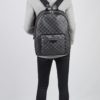 Louis Vuitton Monogram Macassar Josh Backpack 15