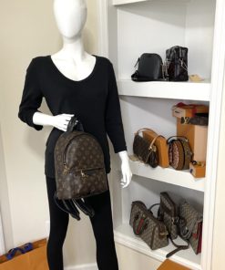 Louis Vuitton Monogram Palm Springs PM Backpack w mannequin