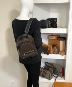 Louis Vuitton Monogram Palm Springs PM Backpack w mannequin