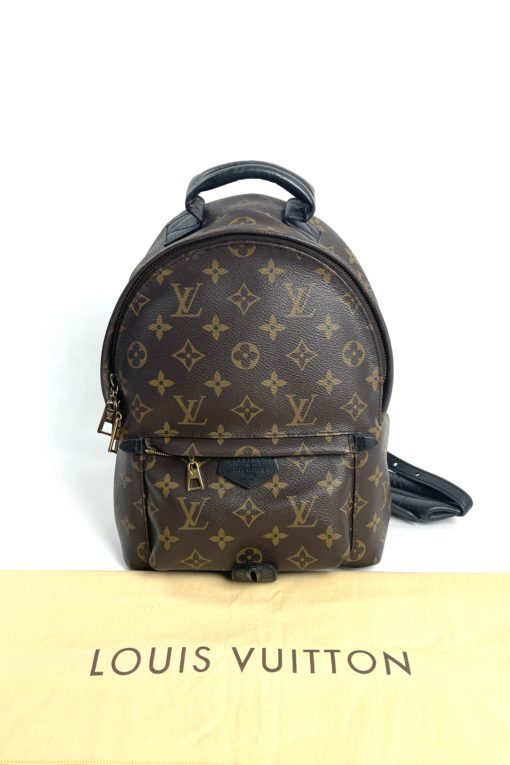 Louis Vuitton Monogram Palm Springs PM Backpack front w dust bag