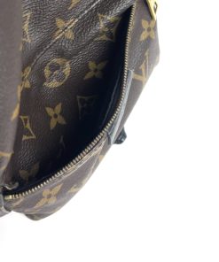 Louis Vuitton Monogram Palm Springs PM Backpack front pocket