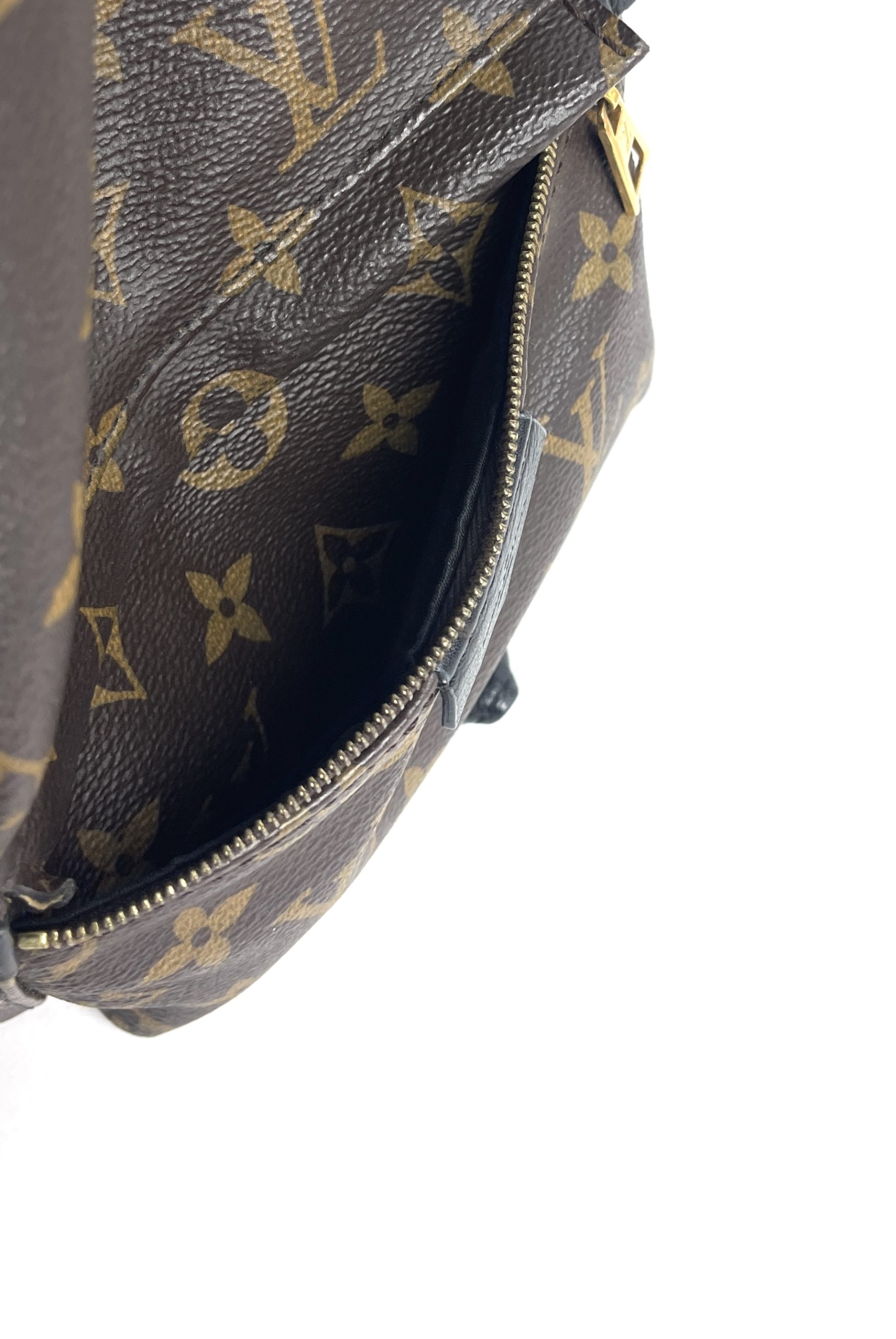 Louis Vuitton Backpack Palm Springs Pm Monogram Canvas Backpack Travel  School Leather ref.639397 - Joli Closet