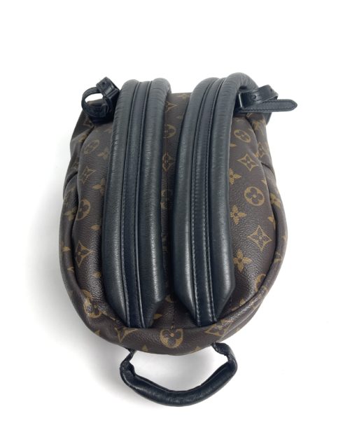 Louis Vuitton Monogram Palm Springs PM Backpack straps