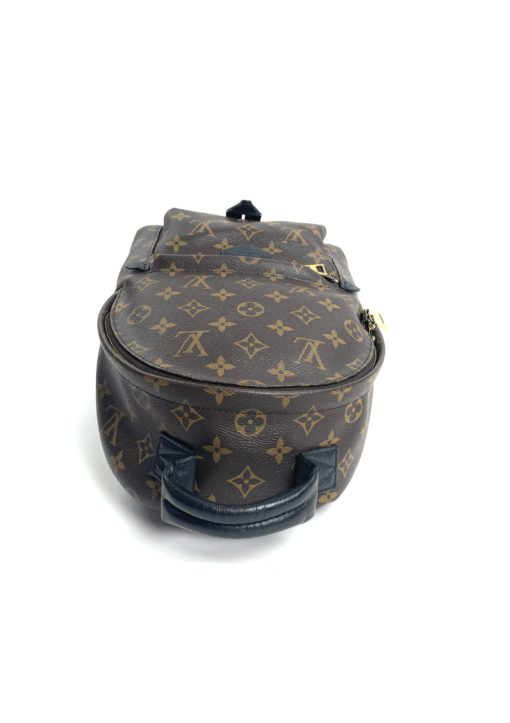 Louis Vuitton Monogram Palm Springs PM Backpack top