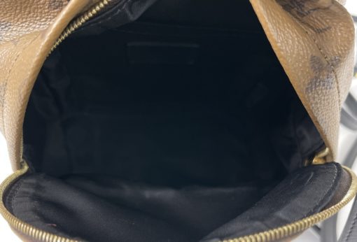 Louis Vuitton Reverse Monogram Palm Springs Mini Backpack 17
