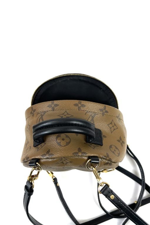 Louis Vuitton Reverse Monogram Palm Springs Mini Backpack 19