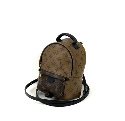 Louis Vuitton Reverse Monogram Palm Springs Mini Backpack 10
