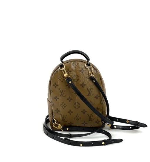 Louis Vuitton Reverse Monogram Palm Springs Mini Backpack 2