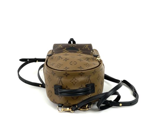 Louis Vuitton Reverse Monogram Palm Springs Mini Backpack 12