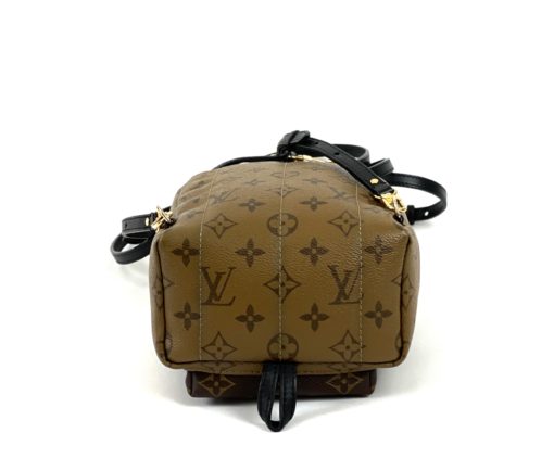 Louis Vuitton Reverse Monogram Palm Springs Mini Backpack 5