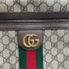 Gucci GG Ophidia Crossbody Bag 17
