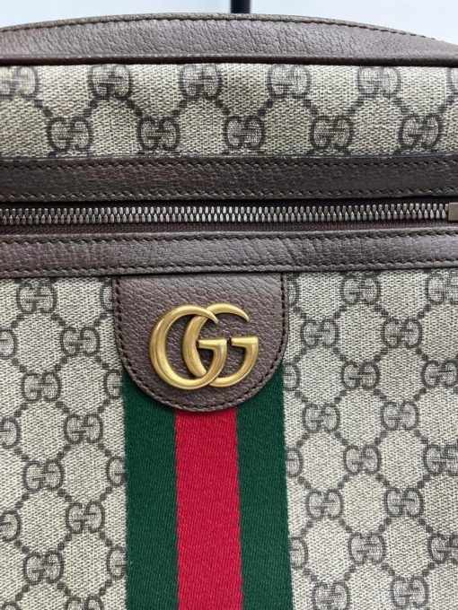 Gucci GG Ophidia Crossbody Bag 17