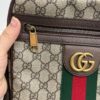Gucci GG Ophidia Crossbody Bag 16