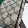Gucci GG Ophidia Crossbody Bag 10