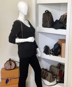 Louis Vuitton Multi Pochette Accessories Monogram Small Pouch with Chain w mannequin