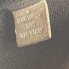 Louis Vuitton Multi Pochette Accessories Monogram Small Pouch with Chain 11