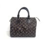 Louis Vuitton Damier Ebene Speedy 25 Satchel 21