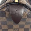 Louis Vuitton Damier Ebene Speedy 25 Satchel 14
