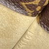 Louis Vuitton Etui Lunettes MM Sunglasses/Glasses Case 7