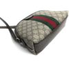 Gucci GG Ophidia Small Dome Crossbody 17