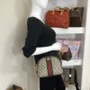 Gucci GG Ophidia Small Dome Crossbody 2