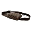 Louis Vuitton Damier Ebene Geronimos Bum Belt Bag 14