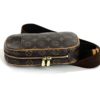 Louis Vuitton Pochette Gange Monogram Bum Bag 14