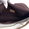 Louis Vuitton Monogram Favorite MM 6