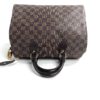 Louis Vuitton Speedy 30 Ebene Satchel 13