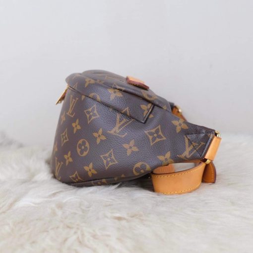 Louis Vuitton Monogram Bum Bag 24