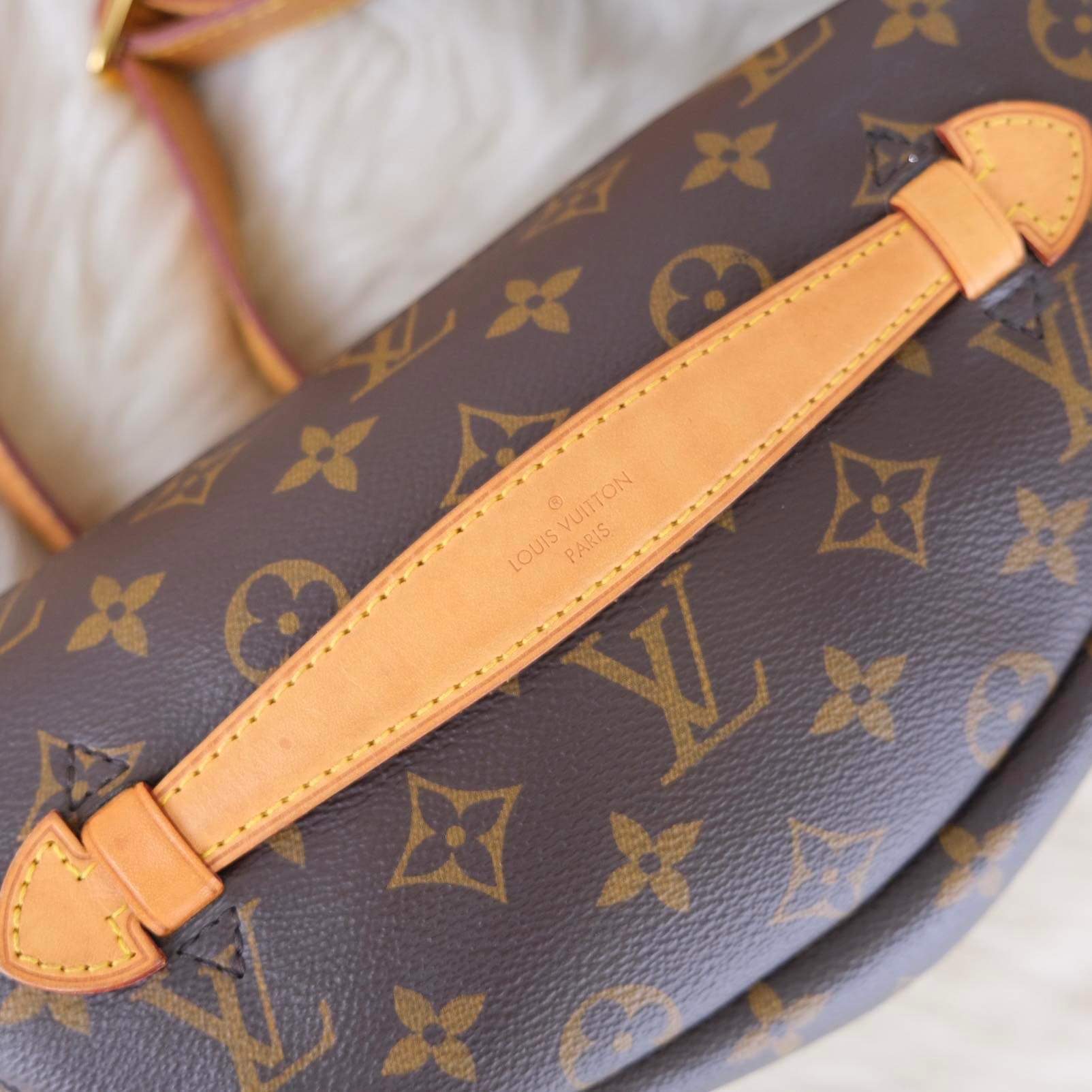 Louis Vuitton Brown Leather Adjustable Petite Noe Strap - Yoogi's Closet