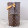 Louis Vuitton Monogram Melie Hobo 16