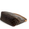 Louis Vuitton Monogram Delightful PM Shoulder Bag 21