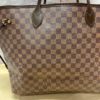 Louis Vuitton Damier Ebene Neverfull GM 13
