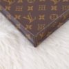 Louis Vuitton Monogram Petit Sac Plat 15