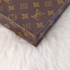 Louis Vuitton Monogram Petit Sac Plat 14