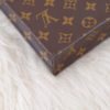 Louis Vuitton Monogram Petit Sac Plat 13