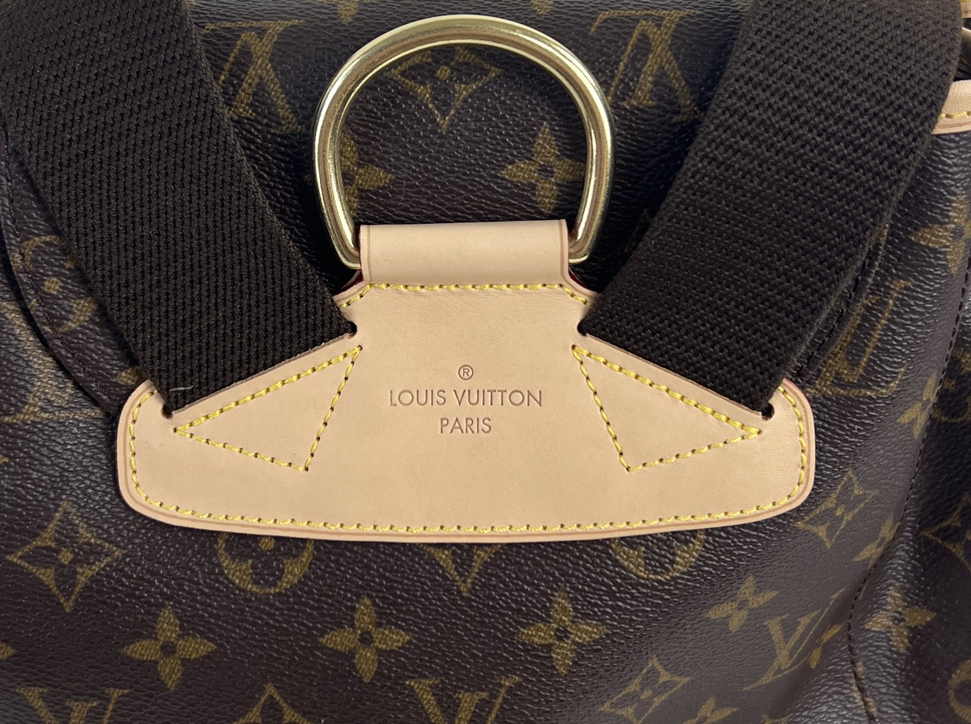 Brown Louis Vuitton Monogram Montsouris GM Backpack
