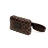 Louis Vuitton Damier Ebene Brooklyn Bum Bag 3