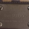 Louis Vuitton Damier Ebene Brooklyn Bum Bag 15