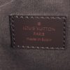 Louis Vuitton Damier Ebene Brooklyn Bum Bag 21