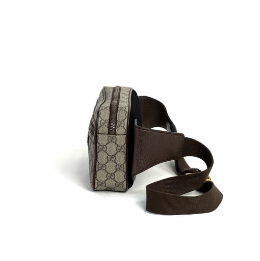 Gucci Ophidia Belt Bag Supreme 4