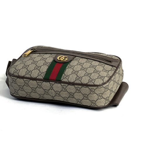 Gucci Ophidia Belt Bag Supreme 6